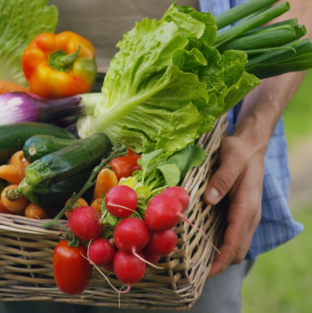 Photo d'illustration : un panier rempli de légumes bio et de saison
